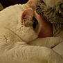 Nannie is registered to the contest to win money with this photo: cat, white_cat, furry, snuggling, close_up, cozy, pet, sleeping, arm, indoor, relaxation, comfort, fur, animal, domestic_animal, resting, cute, soft_lighting, close_contact, human