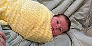 Charles joined the competition — help win amazing prizes! baby, blanket, yellow, infant, face, eyes, bedding, soft, texture, wrapped, newborn, sleeping, cute, child, portrait, indoors, cozy, warm, resting, person