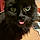 Scoubi