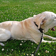 Joyeuse participe au concours pour gagner de l'argent avec cette photo :