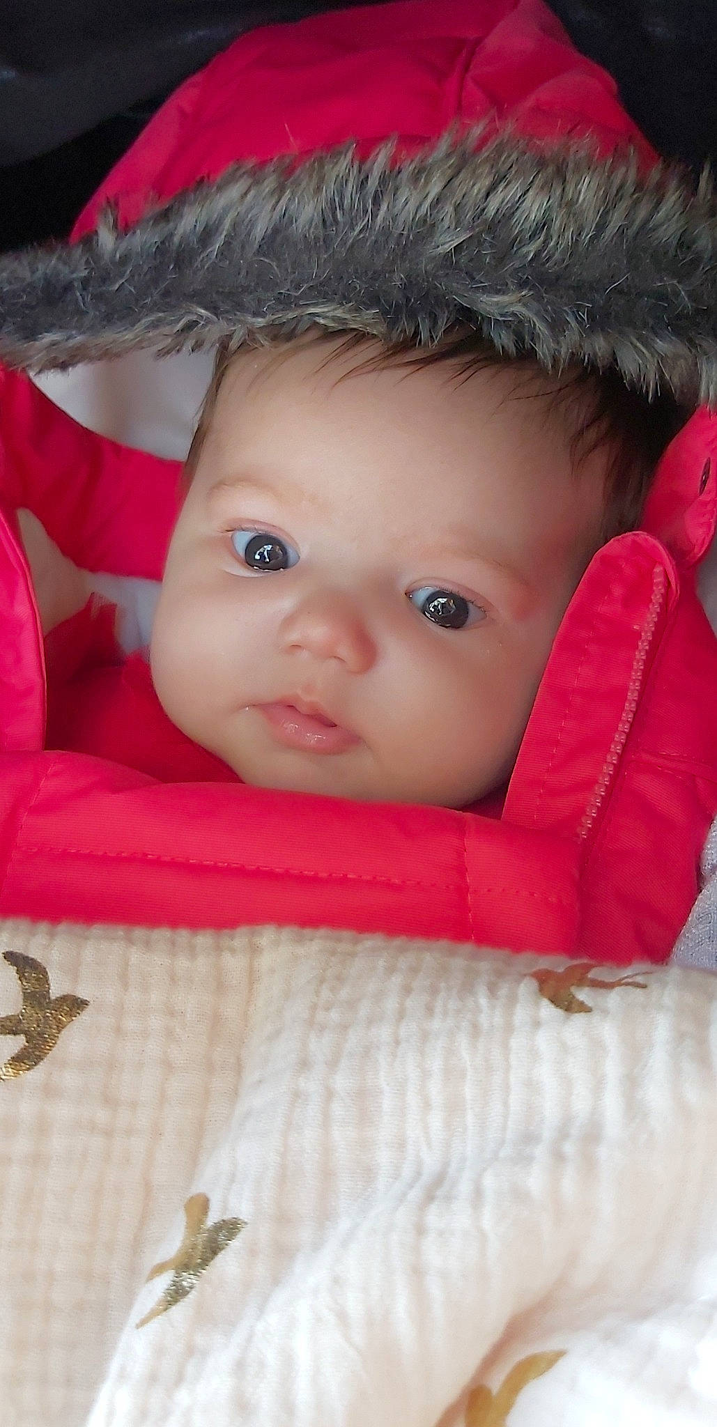 Tya participe au concours pour gagner de l'argent avec cette photo : baby, baby_toddler_clothing, cap, cheek, chin, comfort, eye, eyebrow, eyelash, face, hairstyle, head, iris, lip, nose, outerwear, person, skin, sun_hat, toddler