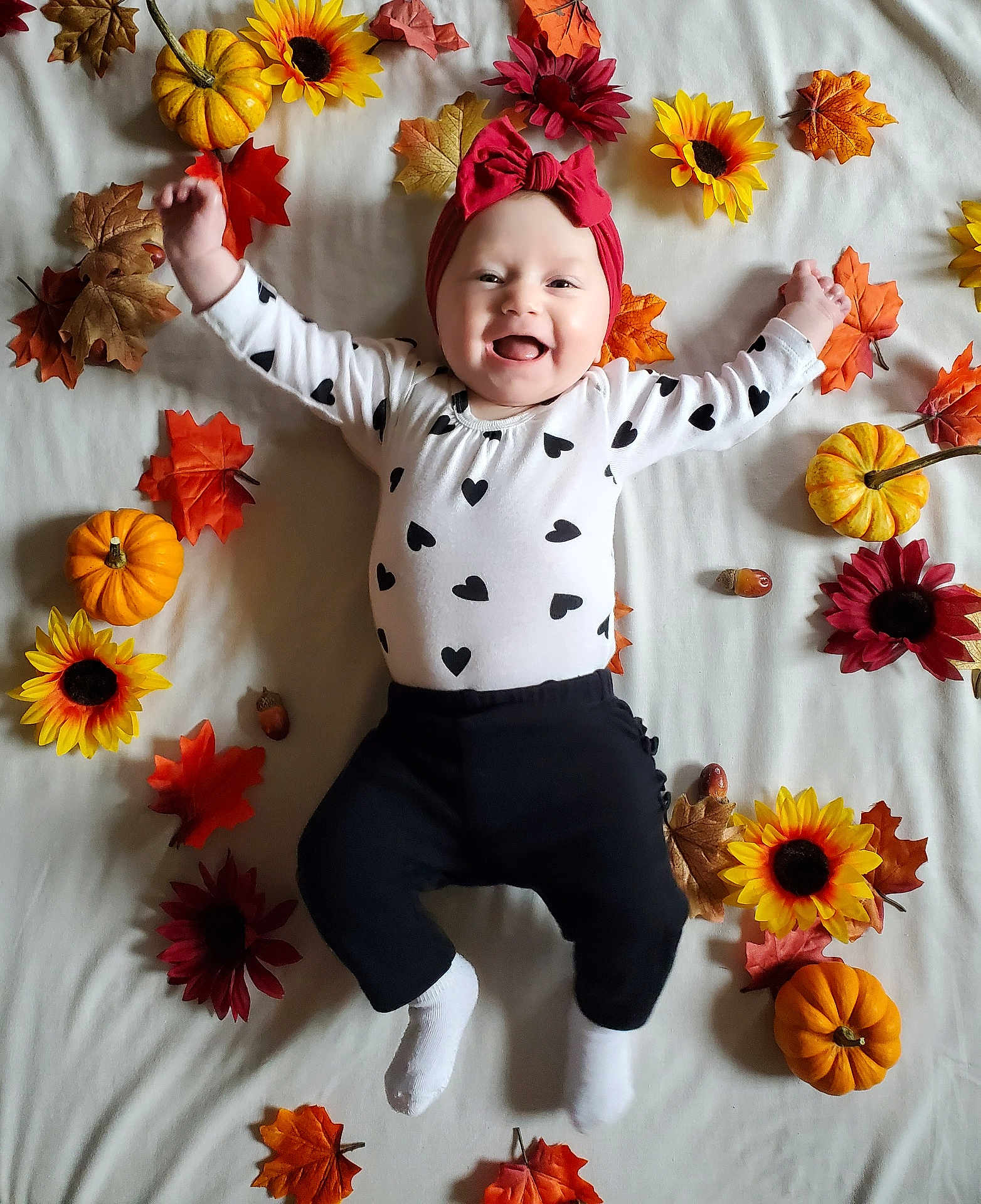 Alexis joined the competition — help win amazing prizes! baby, child, autumn, fall, leaves, pumpkins, sunflowers, smiling, headband, onesie, white_blanket, cute, happy, indoors, laying_down, seasonal, decor, portrait, infant, holiday