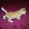 animal, bed, blanket, cat, cozy, cute, domestic_animal, feline, fur, indoor, kitten, orange_cat, pet, side_view, small, soft, tail, walking, whiskers, young