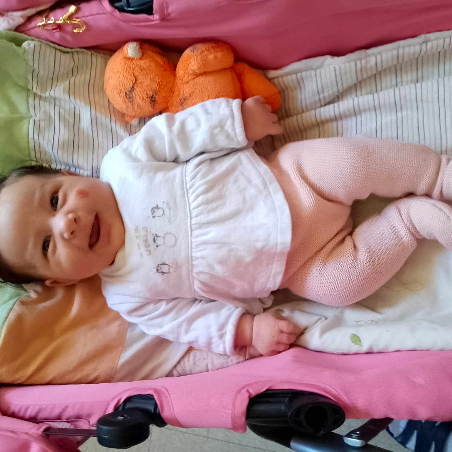 Talya