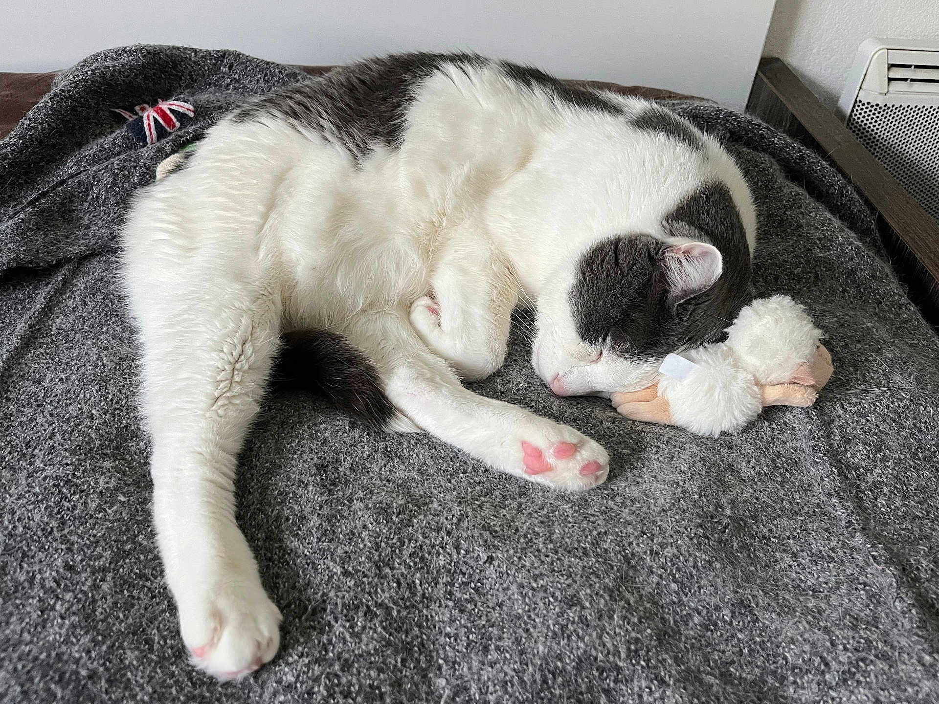 Mozart a rejoint le concours — aidez-le/la à gagner de superbes lots ! cat, sleeping, white, grey, paw, plush_toy, blanket, cozy, indoor, resting, cute, pet, fur, snuggling, animal, peaceful, soft, relaxed, domestic_animal, pink_paw