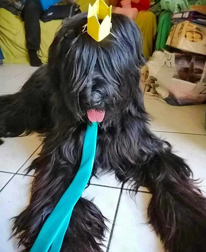 Tilou