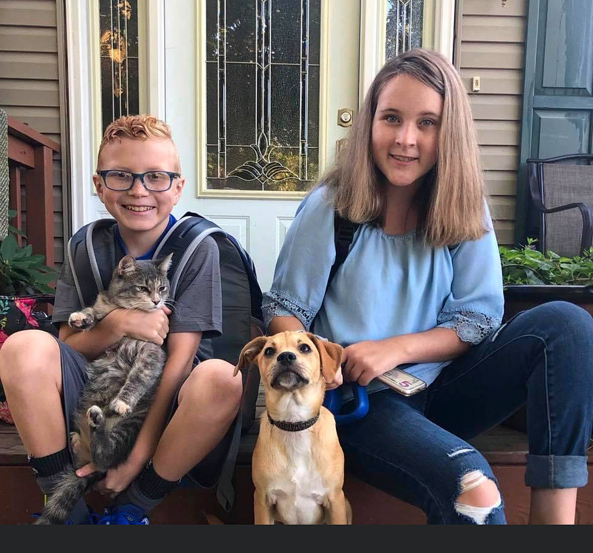 Barkley joined the competition — help win amazing prizes! carnivore, companion_dog, dog, dog_breed, event, eyewear, fawn, fun, fur, grass, happy, lap, leisure, mammal, plant, shoe, sitting, smile, vertebrate, window