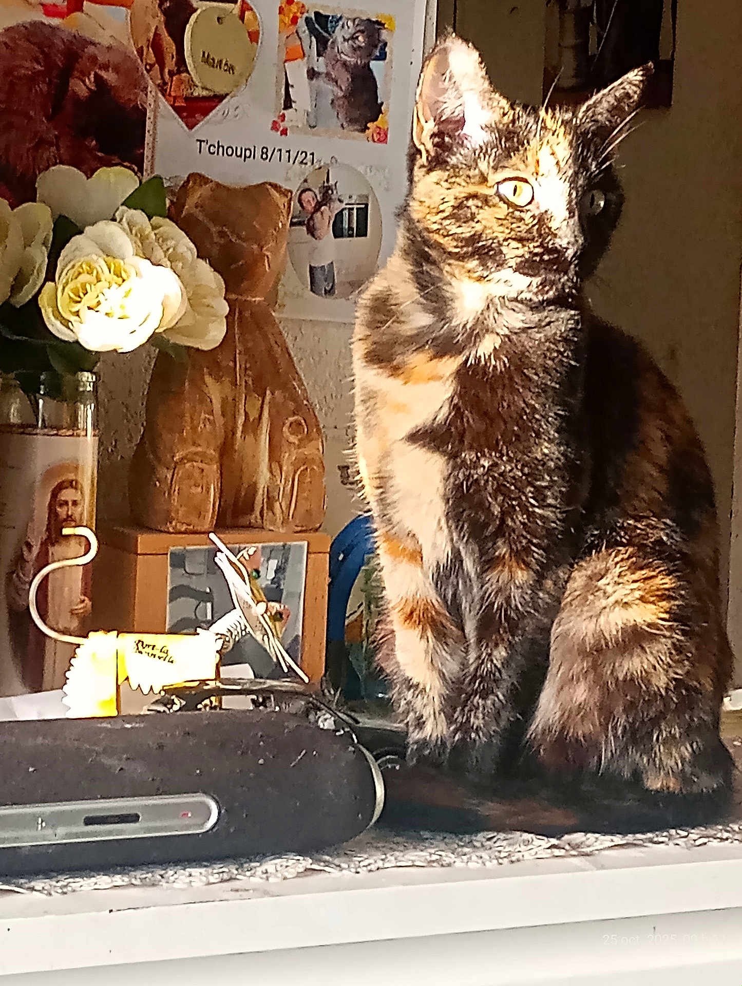 Choupie participe au concours pour gagner de l'argent avec cette photo : cat, tortoiseshell_cat, indoor, flowers, wooden_sculpture, photographs, table, decor, light, shadow, feline, eyes, pet, animal, still_life, ornament, cozy, warm_light, curiosity, clutter