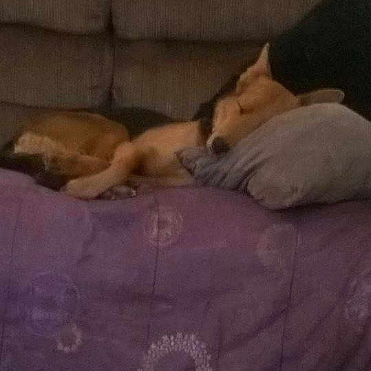 Asia