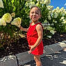 Adalyn joined the competition — help win amazing prizes! child, toddler, red_dress, flower, white_flower, greenery, bushes, outdoor, sunny, sidewalk, shoes, sneakers, happy, playful, nature, summer, person, portrait, daylight, blue_sky
