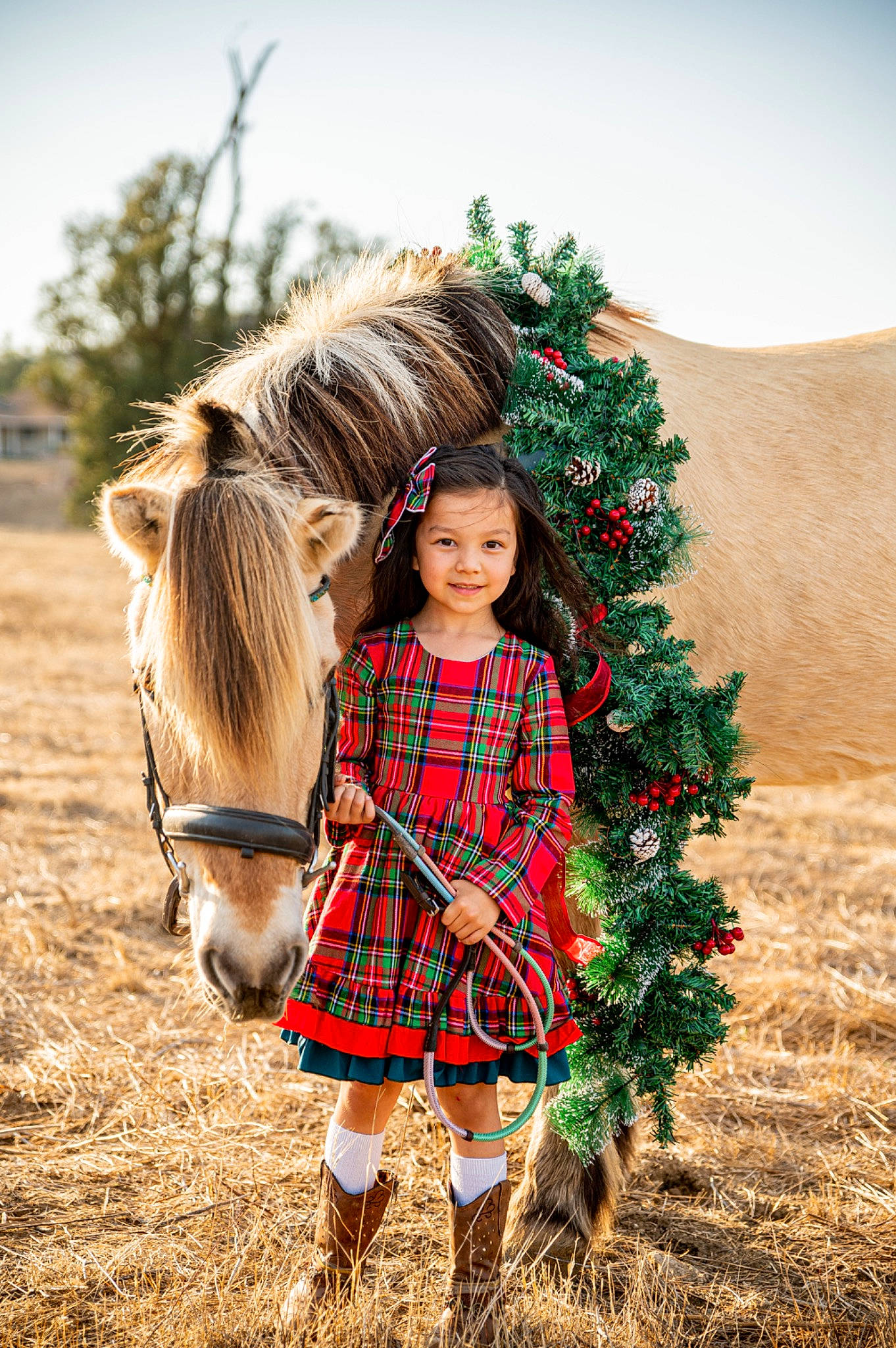 Brighton joined the competition — help win amazing prizes! conifer, dress, event, fawn, fur, grass, grassland, happy, holiday, horse, joy, landscape, mammal, mane, pattern, people_in_nature, person, plaid, plant, toddler