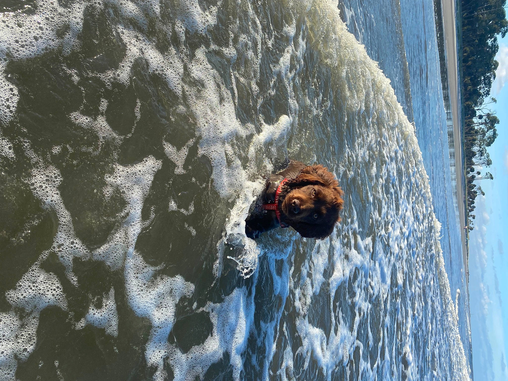 Copper joined the competition — help win amazing prizes! azure, beach, boats_and_boating_equipment_and_supplies, body_of_water, fluid, fun, geological_phenomenon, geology, lake, leisure, liquid, recreation, rock, sky, water, water_resources, watercourse, wave, wind_wave, wood