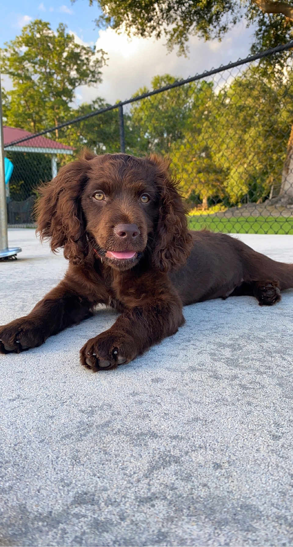 Copper