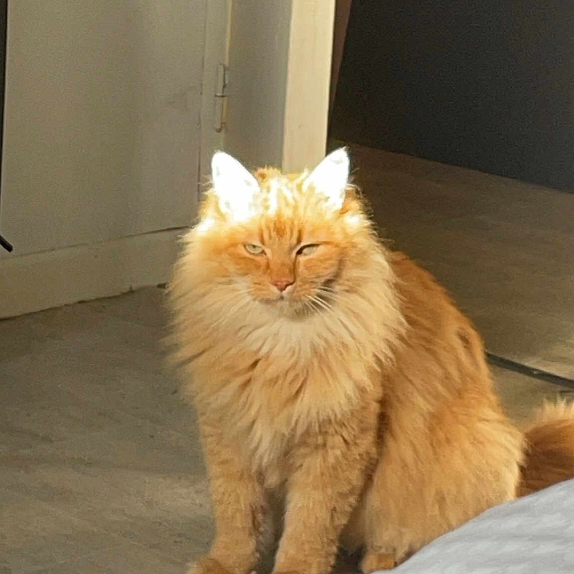 Caramel