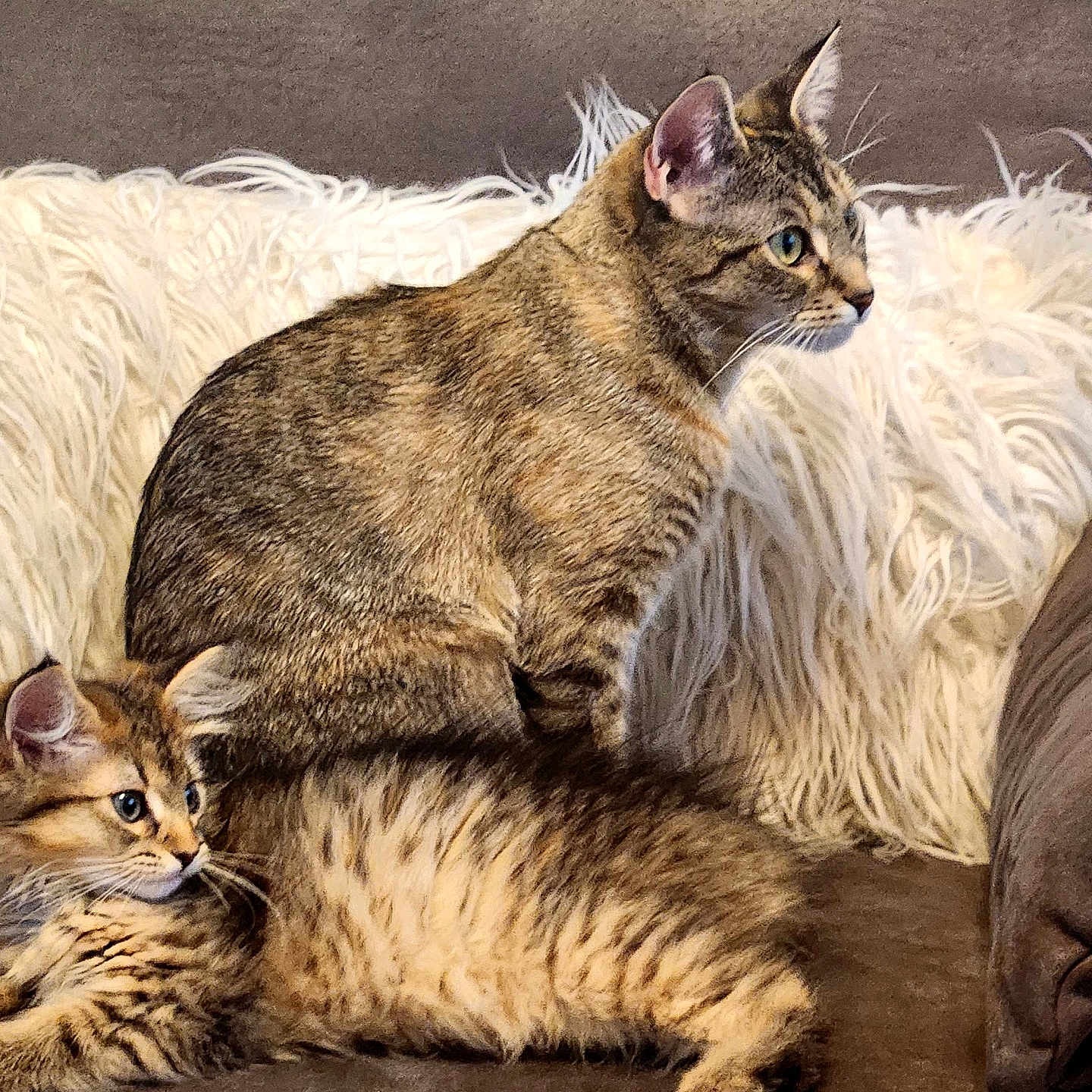 Baby And Lulu