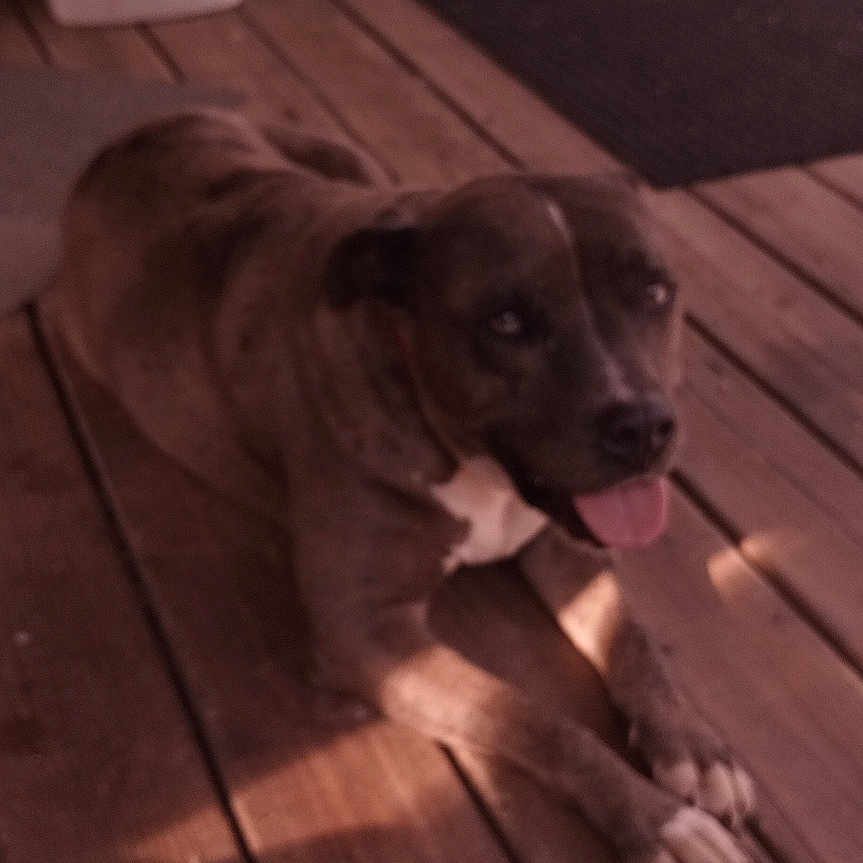 Elroy