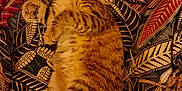 Chateigne a rejoint le concours — aidez-le/la à gagner de superbes lots ! animal, cat, closeup, colorful, curious, cute, ears, feline, fur, indoor, leaf_pattern, lying_down, patterned_background, paws, pet, relaxed, soft_light, tabby, tail, whiskers