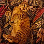 animal, cat, closeup, colorful, curious, cute, ears, feline, fur, indoor, leaf_pattern, lying_down, patterned_background, paws, pet, relaxed, soft_light, tabby, tail, whiskers