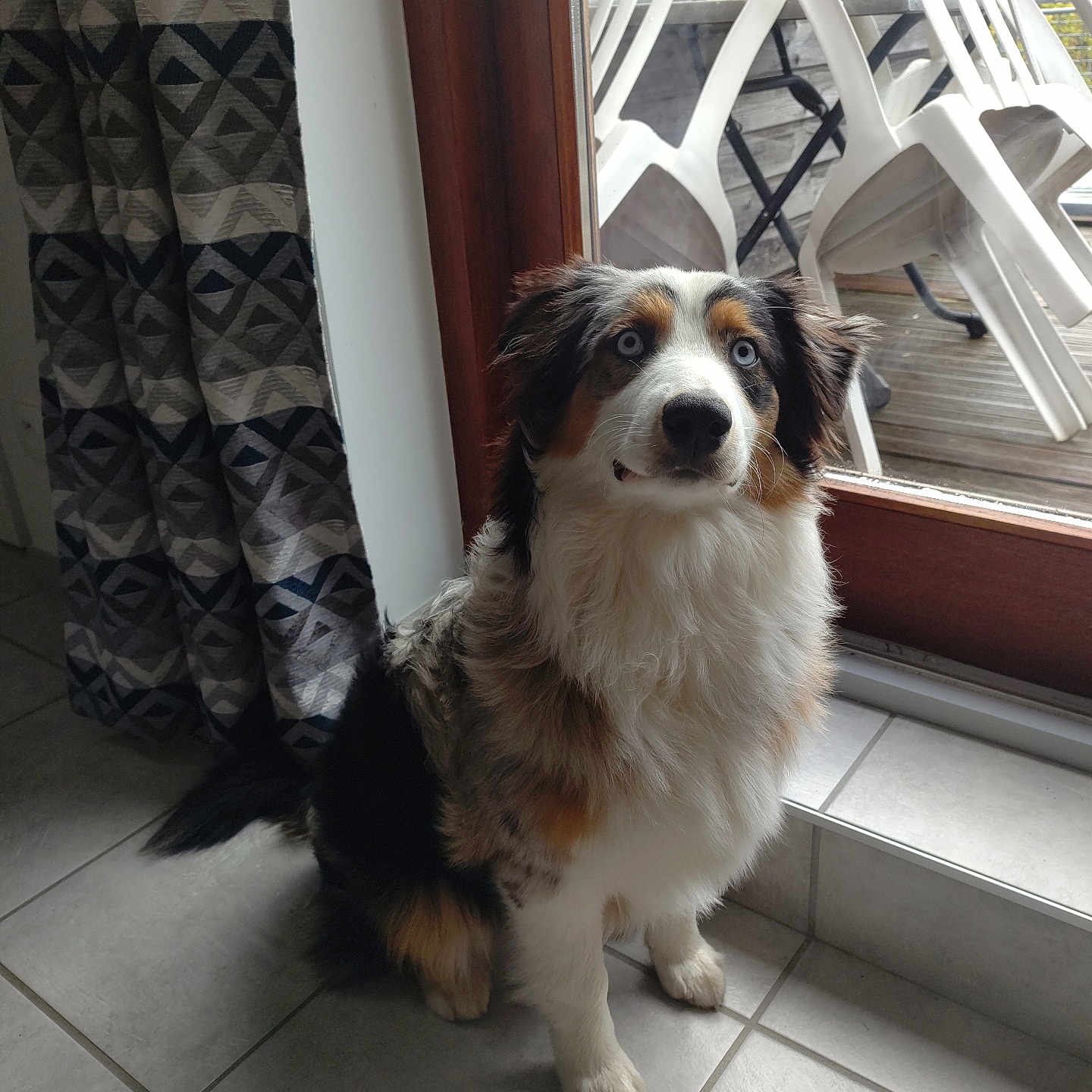Baya