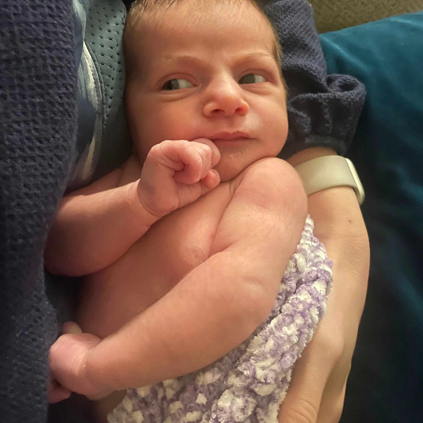 Atrine joined the competition — help win amazing prizes! baby, blanket, closeup, comfort, cradling, curious, expression, face, hand, indoor, infant, newborn, person, portrait, purple, skin, soft, sweater, watch, white