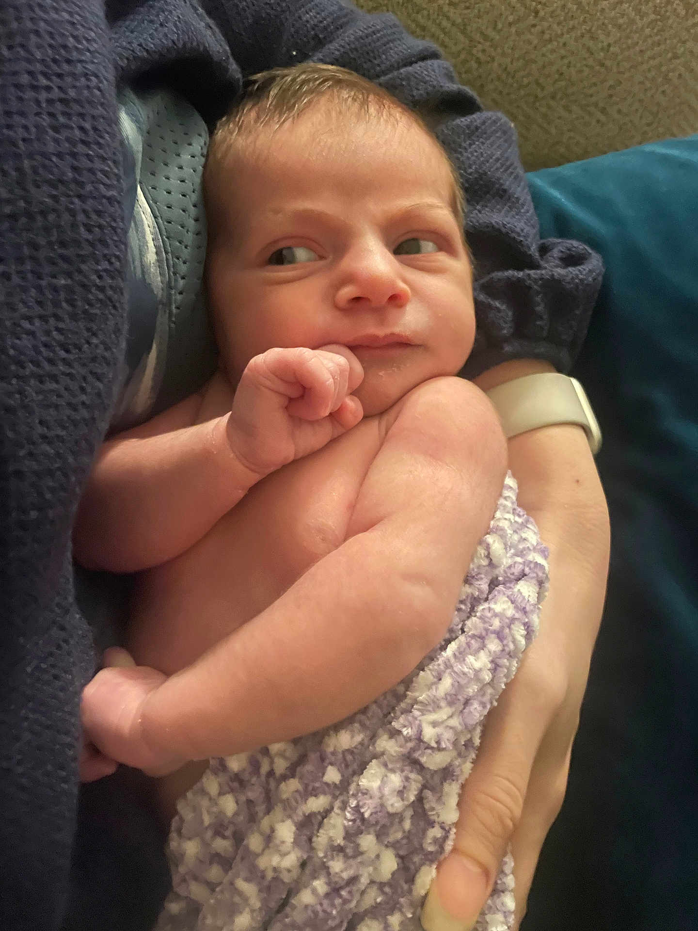 Atrine joined the competition — help win amazing prizes! newborn, baby, infant, blanket, hand, cradling, person, skin, face, expression, curious, watch, sweater, purple, white, soft, comfort, indoor, closeup, portrait