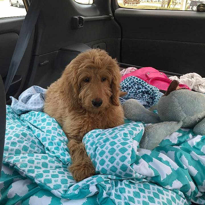 Marlee joined the competition — help win amazing prizes!