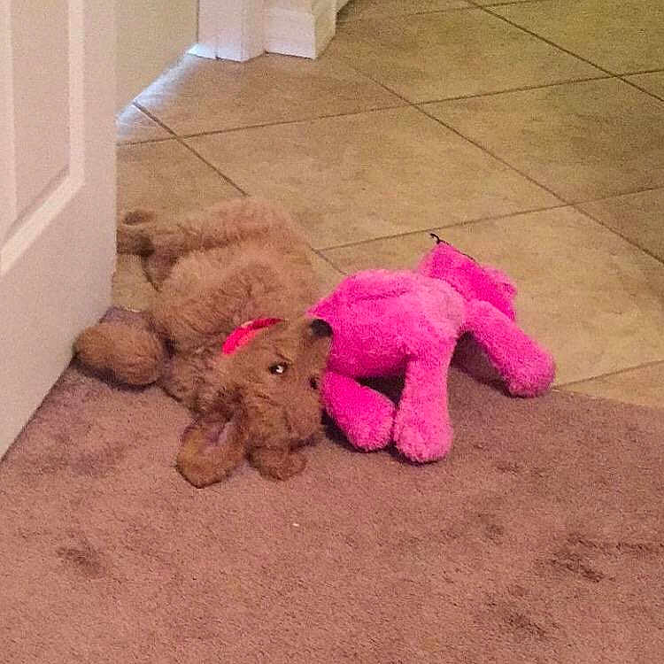 Marlee