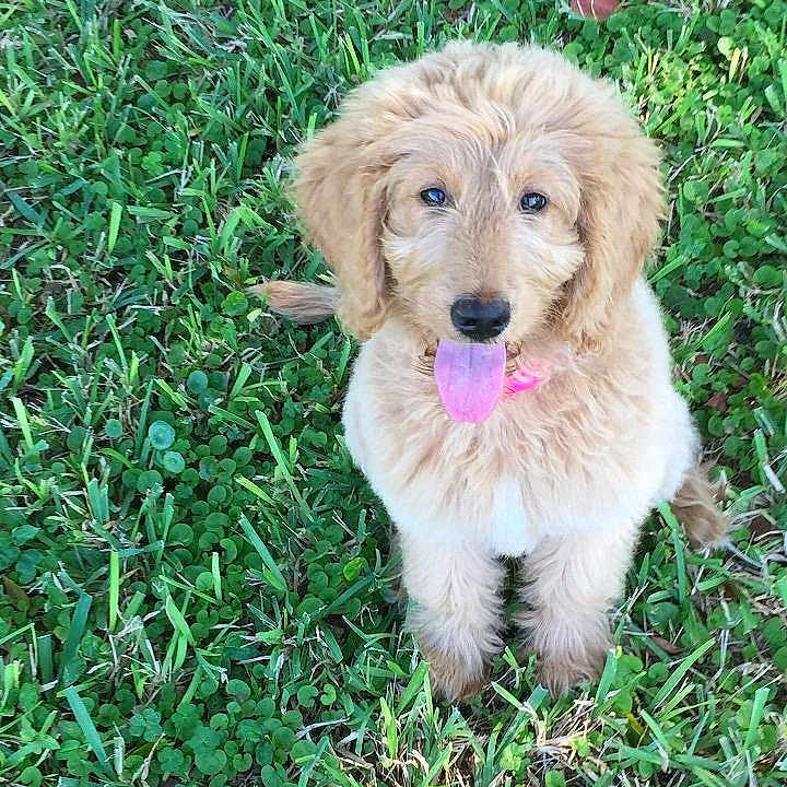 Marlee