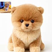 Robert a rejoint le concours — aidez-le/la à gagner de superbes lots ! puppy, kitten, cute, fluffy, pet, animal, adorable, small, brown, fur, eyes, face, young, domestic_animal, portrait, studio, white_background, sitting, tiny, closeup