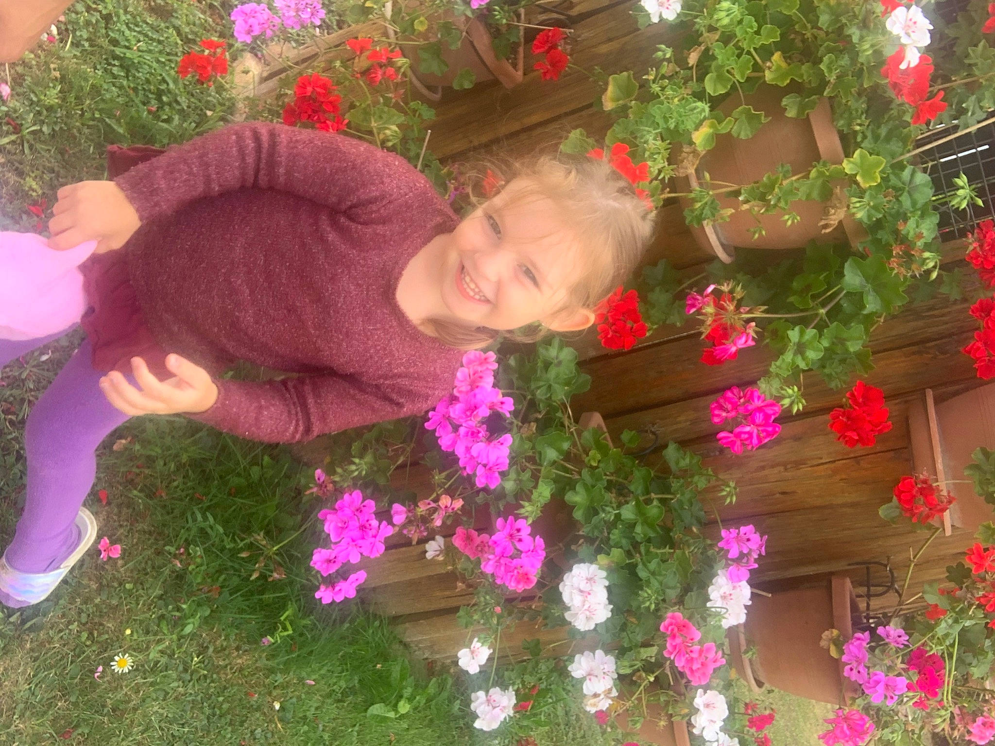 Maëlyne a rejoint le concours — aidez-le/la à gagner de superbes lots ! annual_plant, floristry, flower, flower_arranging, flowering_plant, grass, groundcover, happy, herbaceous_plant, joy, lawn_ornament, leisure, magenta, people_in_nature, person, petal, pink, plant, rose_family, shrub