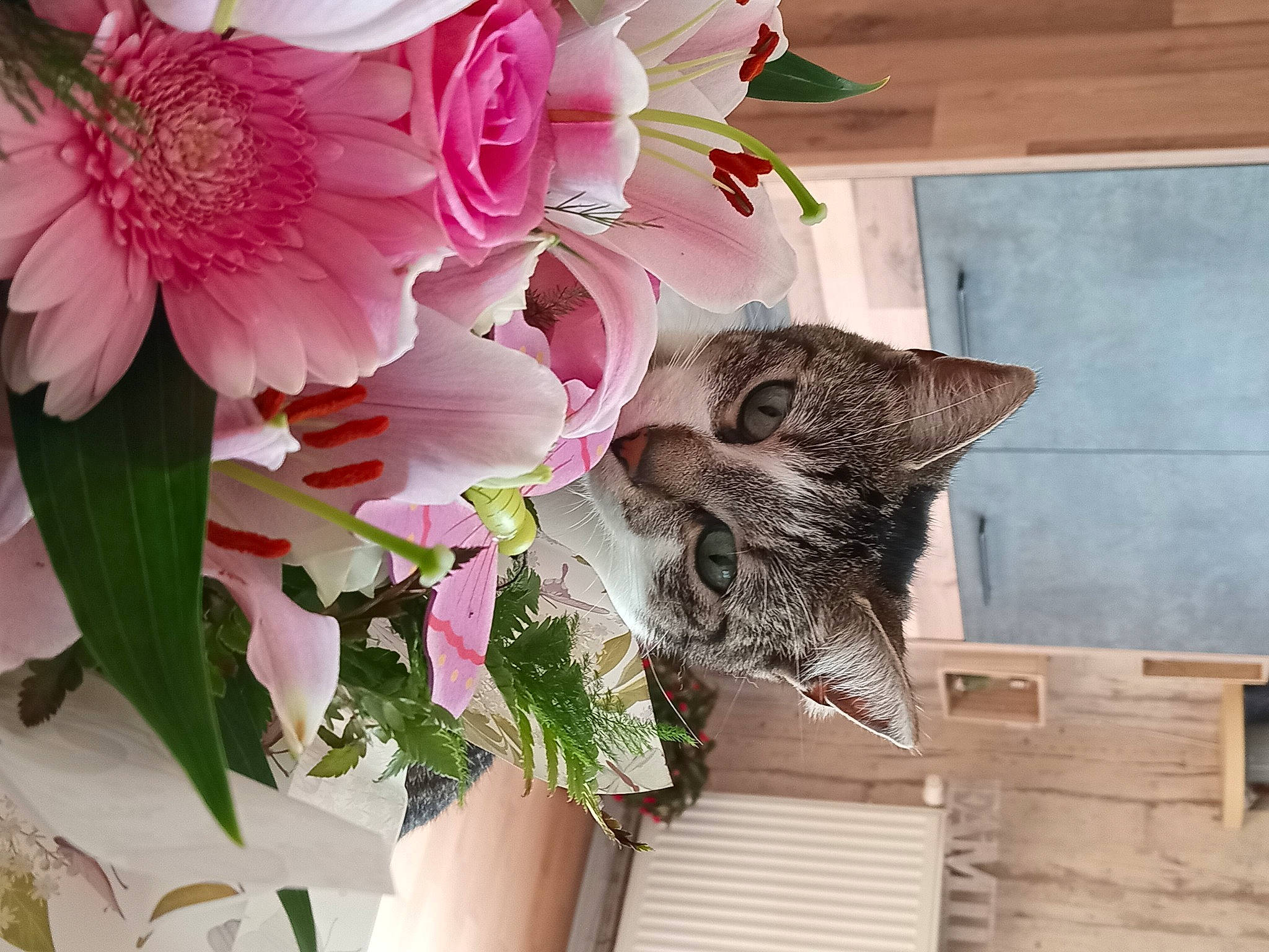 Yoongi a rejoint le concours — aidez-le/la à gagner de superbes lots ! annual_plant, artificial_flower, bouquet, carnivore, cut_flowers, felidae, flower, flower_arranging, flowering_plant, flowerpot, houseplant, petal, plant, shelf, small_to_medium_sized_cats, terrestrial_plant, twig, whiskers, window, wood