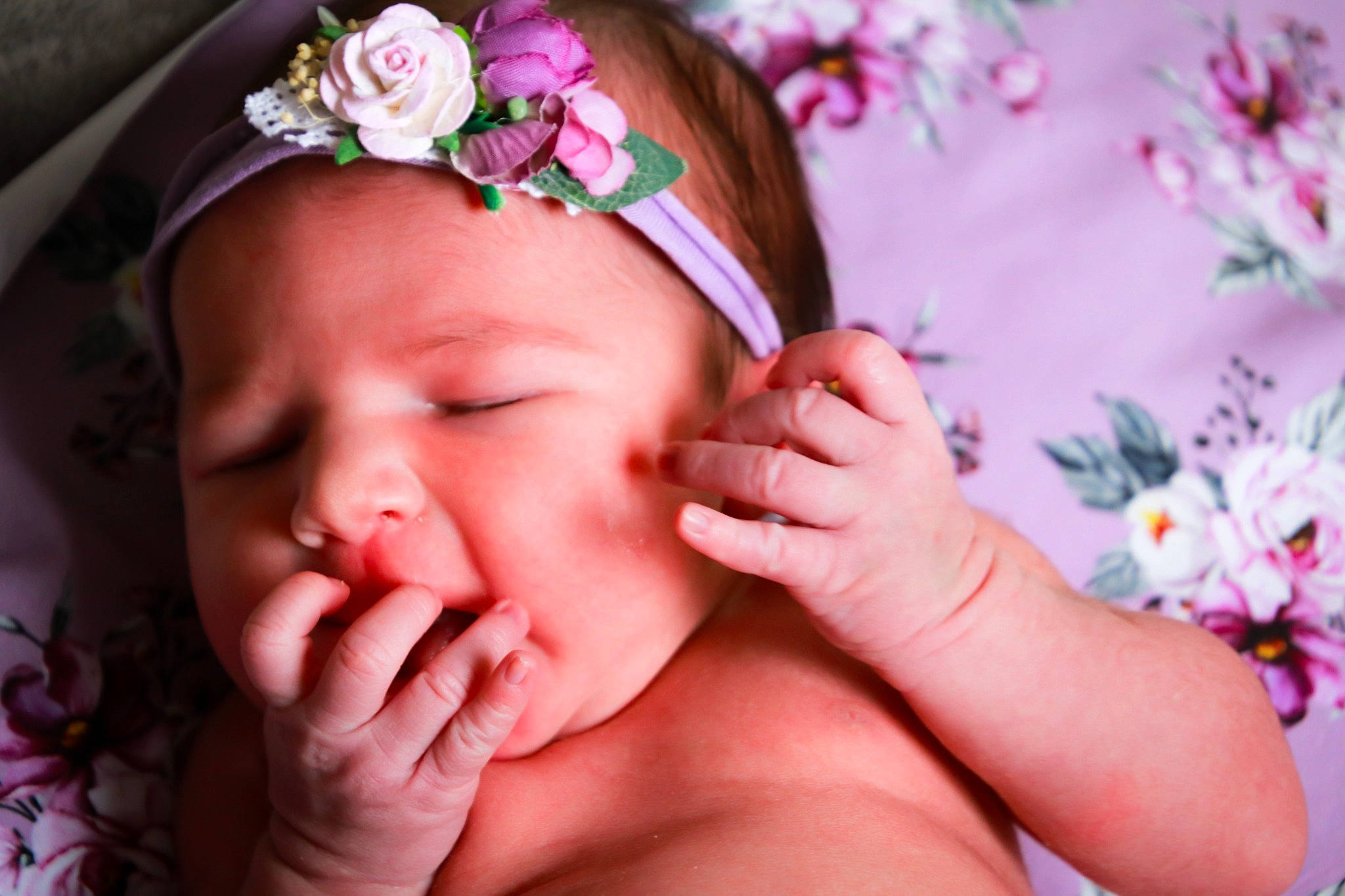 Mia a rejoint le concours — aidez-le/la à gagner de superbes lots ! baby, baby_sleeping, cheek, child, close_up, fashion_accessory, finger, flower, gesture, hair_accessory, hand, headband, headgear, headpiece, headwear, nail, person, petal, photography, pink