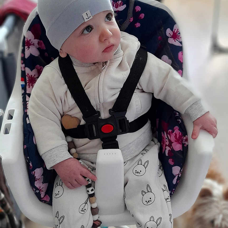 Ségo Rousseau a rejoint le concours — aidez-le/la à gagner de superbes lots ! baby, blurred_background, chair, child, clothing, cute, dog, expression, flooring, footwear, furniture, hat, high_chair, indoor, infant, person, pet, socks, table, toy