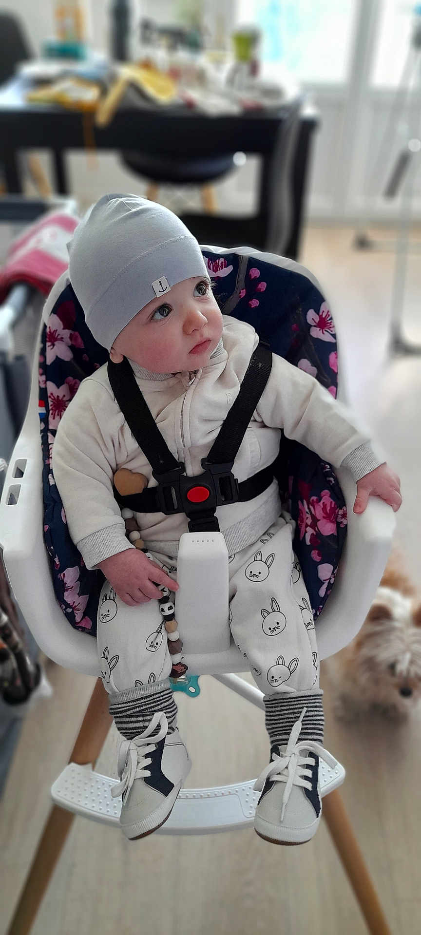Ségo Rousseau a rejoint le concours — aidez-le/la à gagner de superbes lots ! baby, child, high_chair, hat, clothing, footwear, socks, toy, indoor, flooring, dog, pet, furniture, table, chair, blurred_background, expression, person, cute, infant