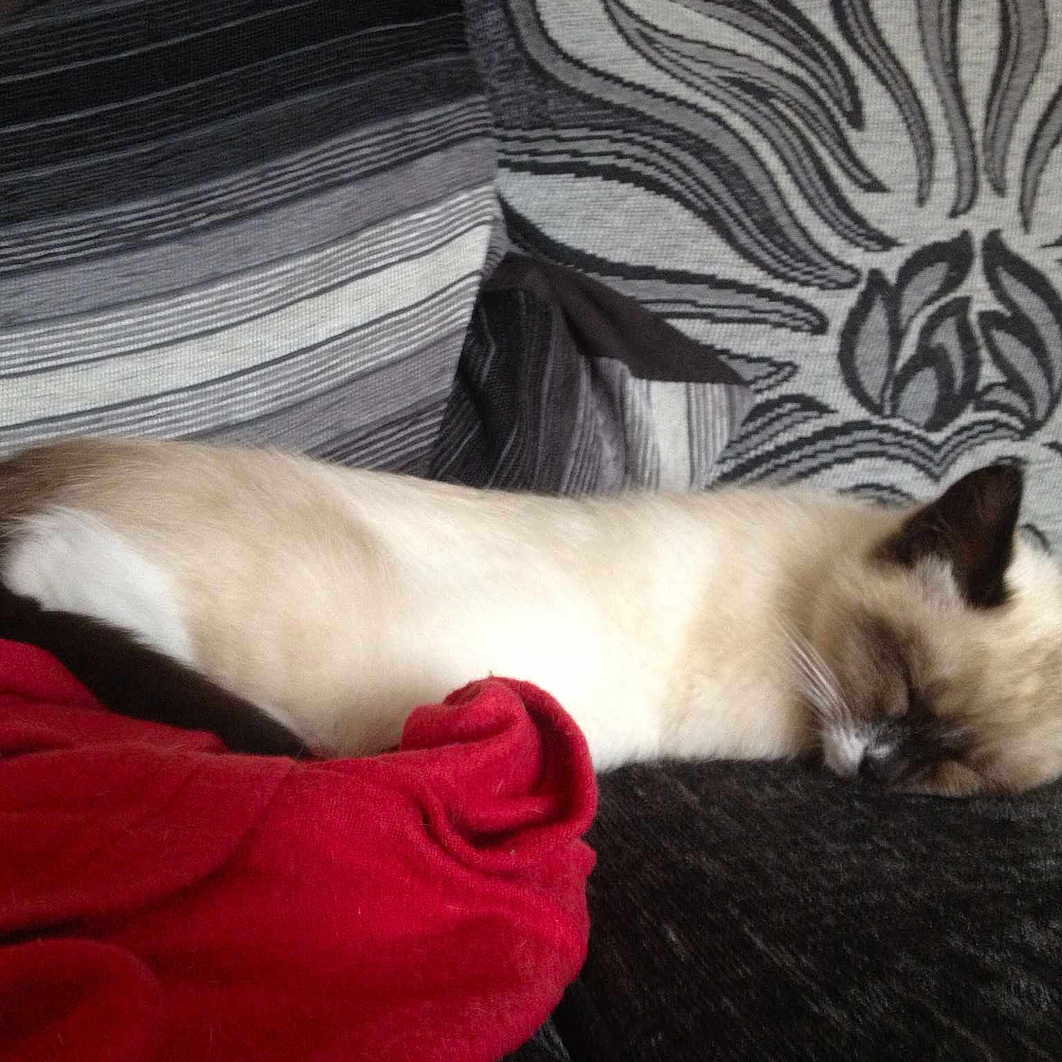 Twinkle joined the competition — help win amazing prizes!