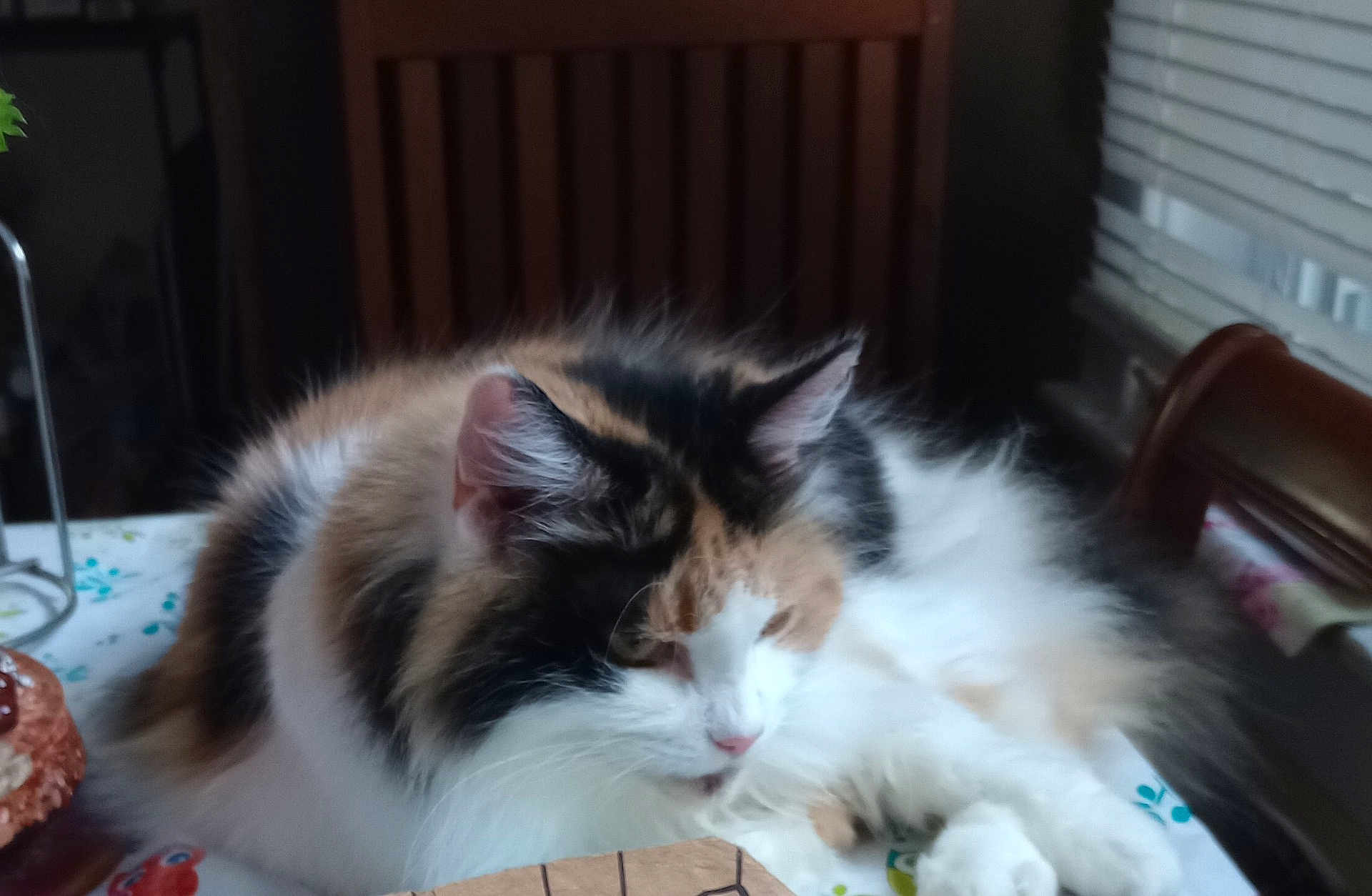Zena