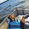 dog, life_jacket, boat, lake, water, waves, sunlight, outdoor, nature, animal, pet, blue, relaxing, summer, sky, clouds, shore, vacation, adventure, canine