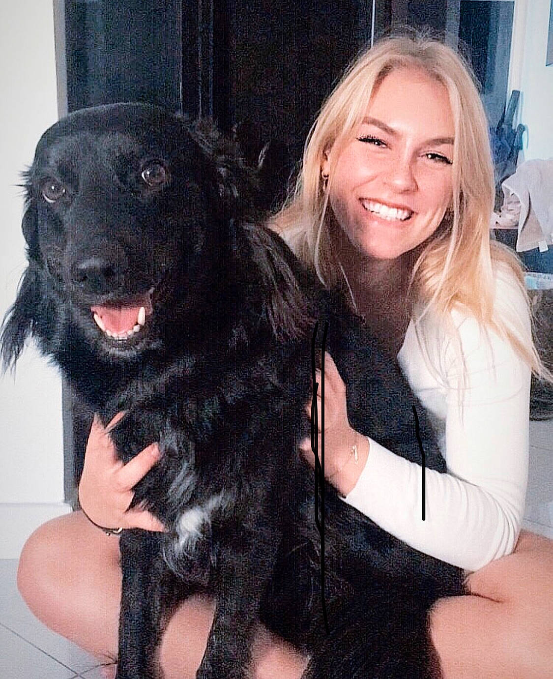 Nala participe au concours pour gagner de l'argent avec cette photo : black, blond, carnivore, chest, companion_dog, dog, dog_breed, fur, iris, layered_hair, long_hair, love, snout, sporting_group, throat, tongue, working_animal