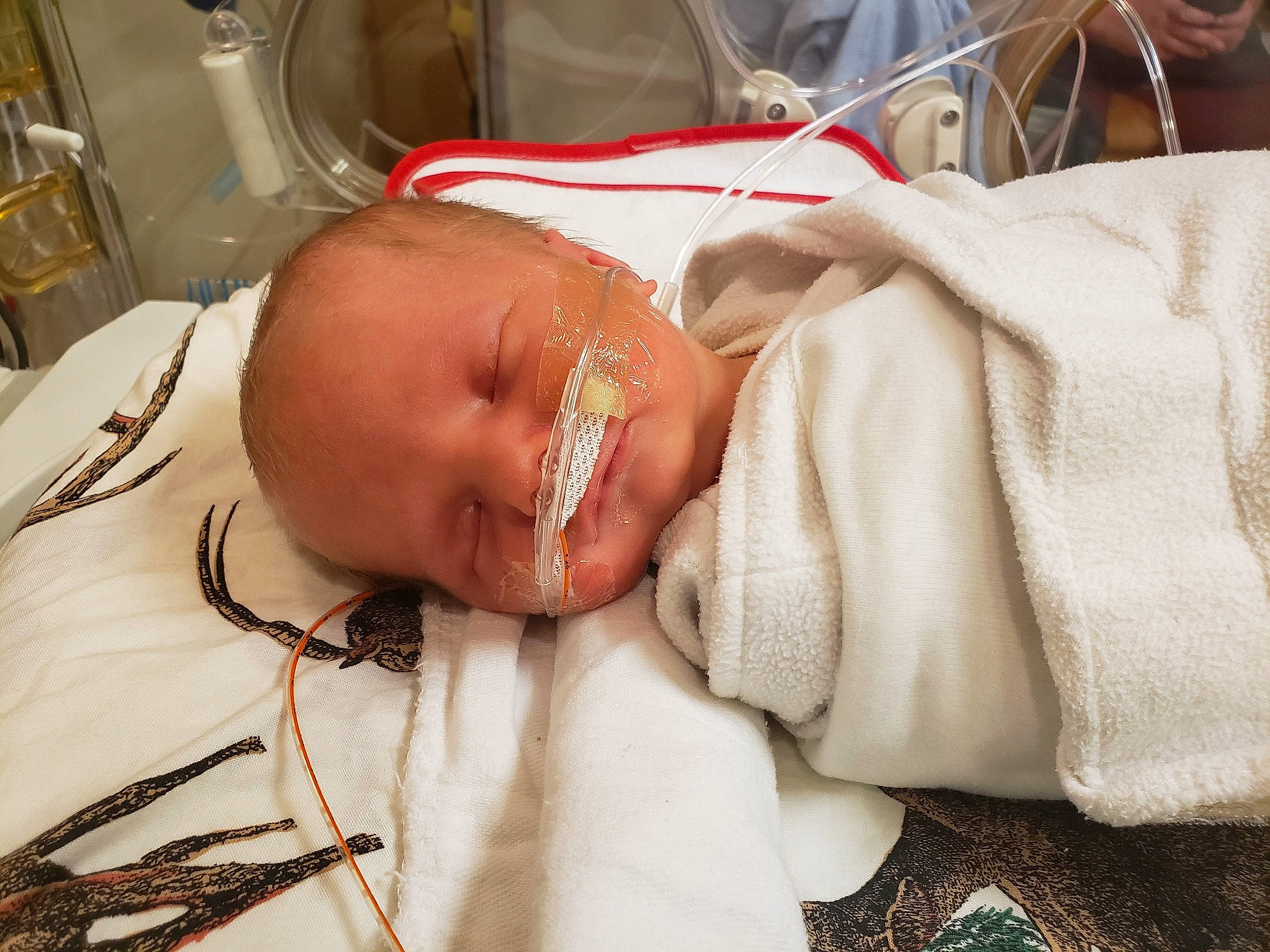 Robert is registered to the contest to win money with this photo: baby, baby_products, child, childbirth, comfort, event, eyelash, flesh, health_care, hospital, linens, medical, medical_equipment, medical_procedure, nap, patient, person, room, service, skin