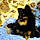 Baloo