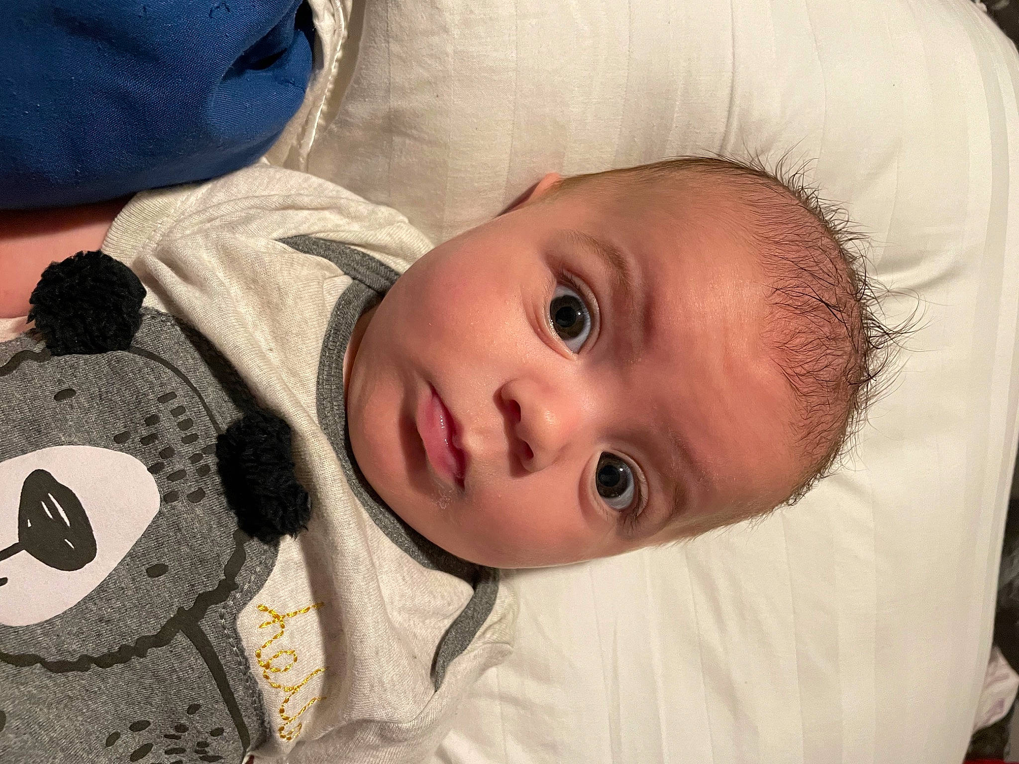 Enzo is registered to the contest to win money with this photo: baby, baby_toddler_clothing, cheek, chin, comfort, eye, eyebrow, eyelash, facial_expression, head, headgear, iris, lip, mouth, nose, organ, person, skin, sleeve, textile