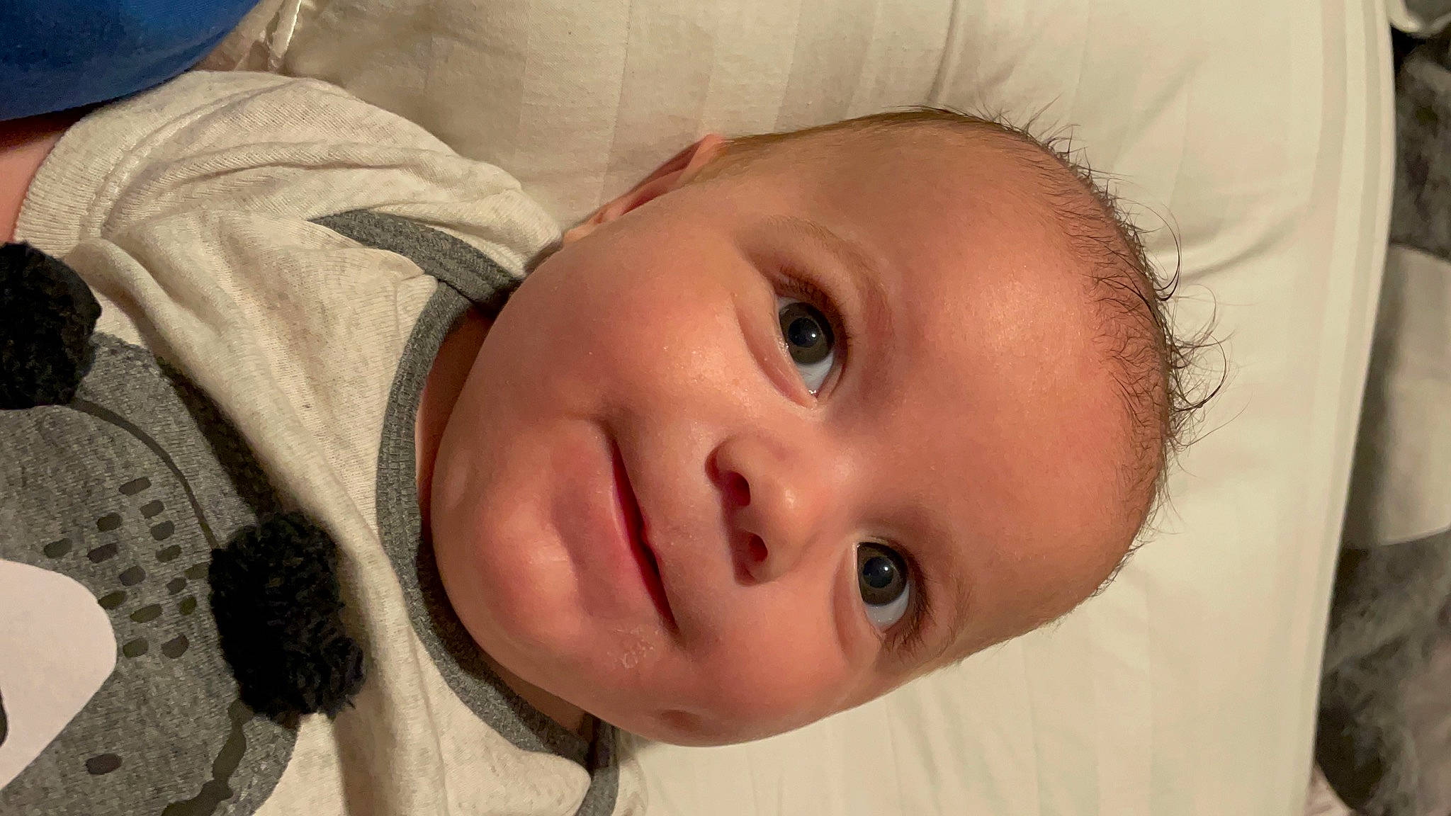 Enzo is registered to the contest to win money with this photo: baby, baby_toddler_clothing, cheek, child, close_up, comfort, eyebrow, eyelash, fun, happy, iris, lip, nose, person, plant, skin, smile, toddler, tree, window