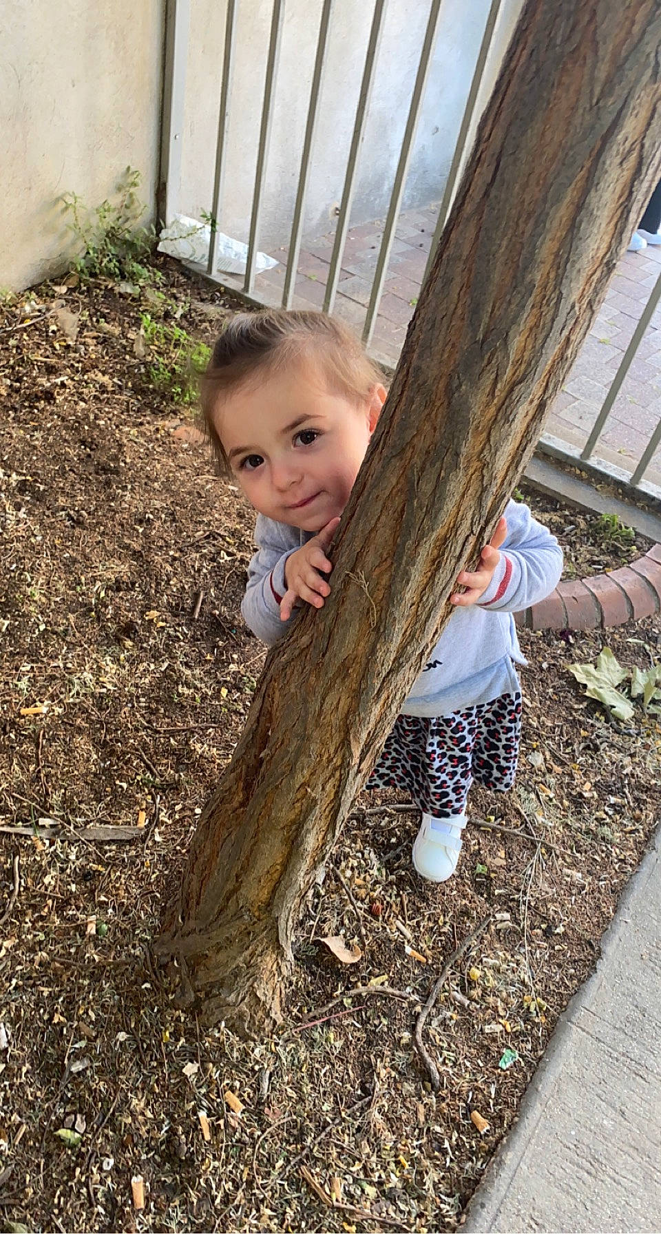 Giulia participe au concours pour gagner de l'argent avec cette photo : child, eye, fun, grass, hairstyle, happy, leaf, leg, people_in_nature, person, plant, sitting, sneakers, soil, standing, toddler, tree, trunk, twig, wood