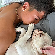 Athena joined the competition — help win amazing prizes! man, dog, french_bulldog, puppy, sleeping, bed, pillow, tattoo, earring, necklace, resting, closeup, human, pet, indoor, cute, animal, friendship, relaxation, affection