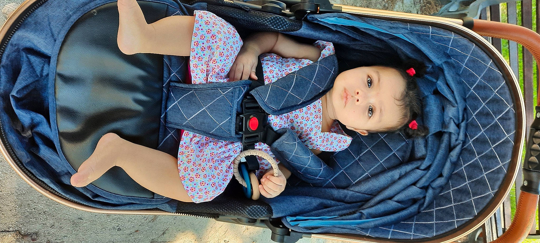 Cayla participe au concours pour gagner de l'argent avec cette photo : baby, baby_carriage, baby_products, blue, fashion_accessory, grass, hat, human_leg, knee, pattern, person, plaid, plant, recreation, sitting, sleeve, tartan, thigh, toddler, tree