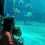 Lou a rejoint le concours — aidez-le/la à gagner de superbes lots ! aquarium, baby, blue, casual_clothing, child, exhibit, family, fish, holding, indoor, large_tank, marine_life, parenting, people, reflection, side_view, tank, visitor, water, woman