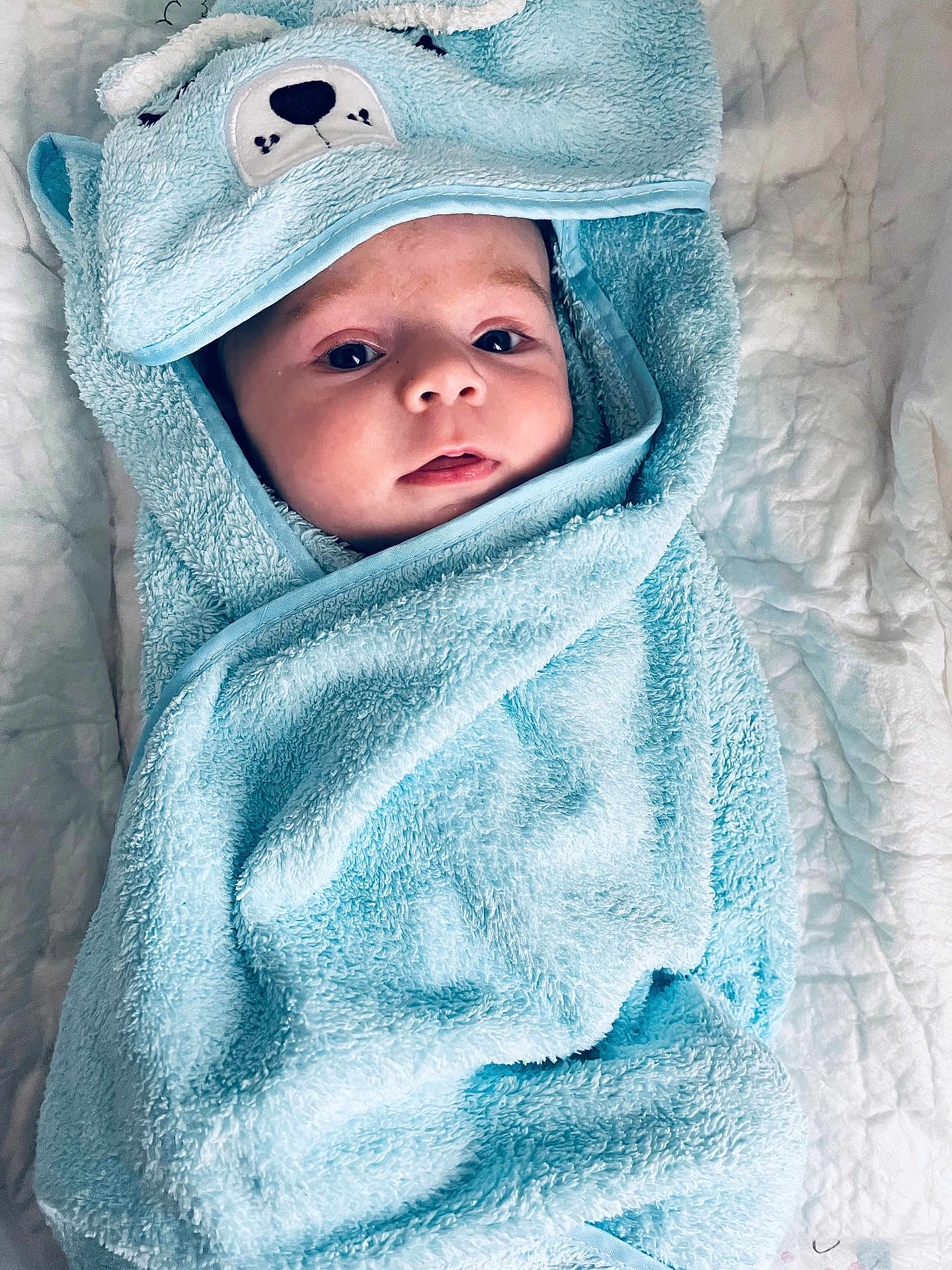 Lyam participe au concours pour gagner de l'argent avec cette photo : baby, blue_towel, blanket, face, hood, infant, lying_down, person, portrait, quilt, soft, snug, towel, wrapped, cute, child, cozy, baby_face, fabric, bed