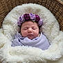 baby, basket, blanket, cozy, cushion, cute, flower_crown, headband, indoors, infant, lavender, newborn, peaceful, portrait, purple, resting, sleeping, soft, swaddled, woven