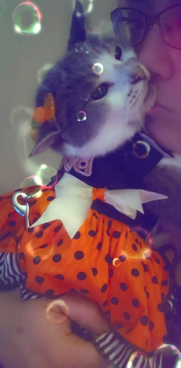 Baby joined the competition — help win amazing prizes! animation, art, costume, entertainment, event, fictional_character, fun, fur, magenta, pattern, performing_arts, personal_protective_equipment, plush, purple, stuffed_toy, toy