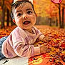 baby, child, flower_crown, striped_sweater, autumn_leaves, fall, outdoor, playmat, butterfly, smiling, happy, portrait, nature, seasonal, cute, colorful, young_child, playful, background_blur, daylight